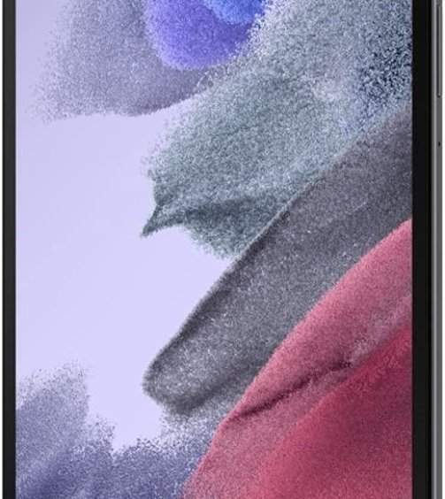 Samsung Tab A7 Lite (64GB) 8.7 Wi-Fi Tablet (SM-T220NZAFXAR)- 06 mois g